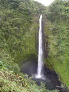 (116) Akala Falls, Hawaii