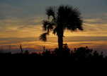 (86) Folly Beach