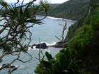 (118) Road to Hana, Maui