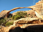 (85a) Landscape Arch, Arches NP, Utah