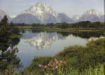 (71) OX BOW BEND 2001