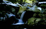 (52) Waterfall 2, SMNP, Tenn.