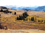 (147) Union Peak, Near Dubois, Wy